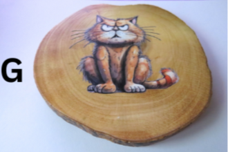 Grumpy Cat Cup Mats