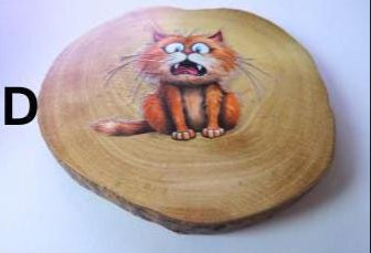 Grumpy Cat Cup Mats