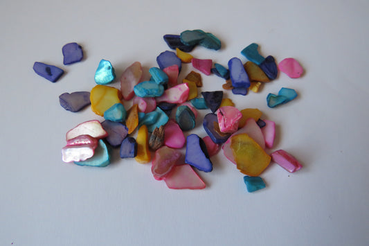 Shell pieces