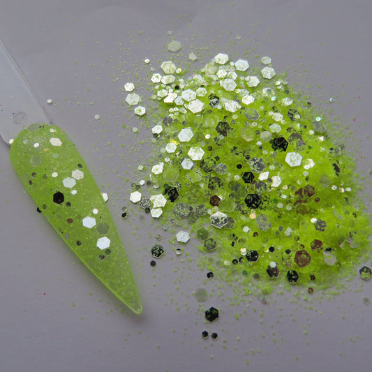 Chrysanthemum Glitter